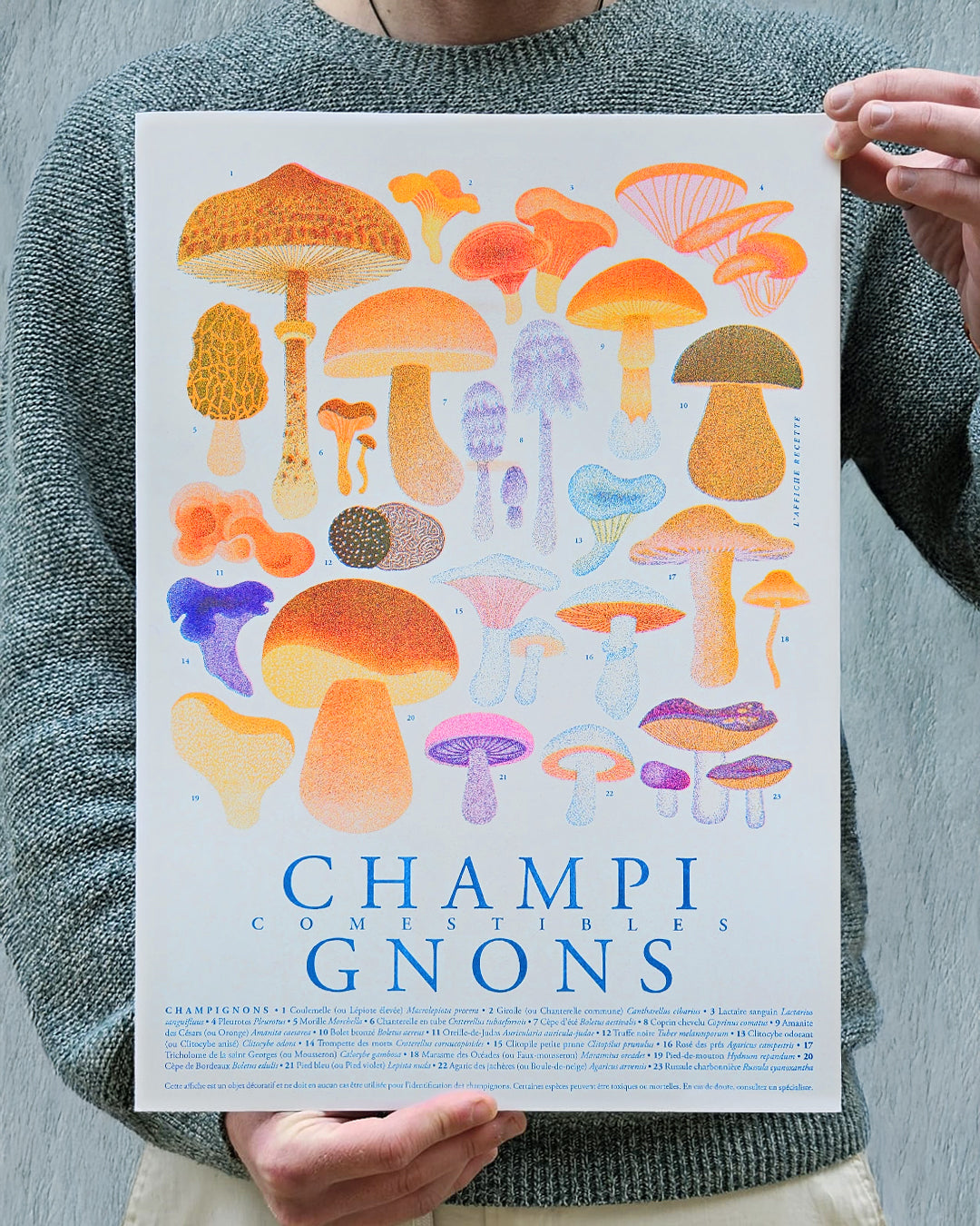 Champignons Comestibles
