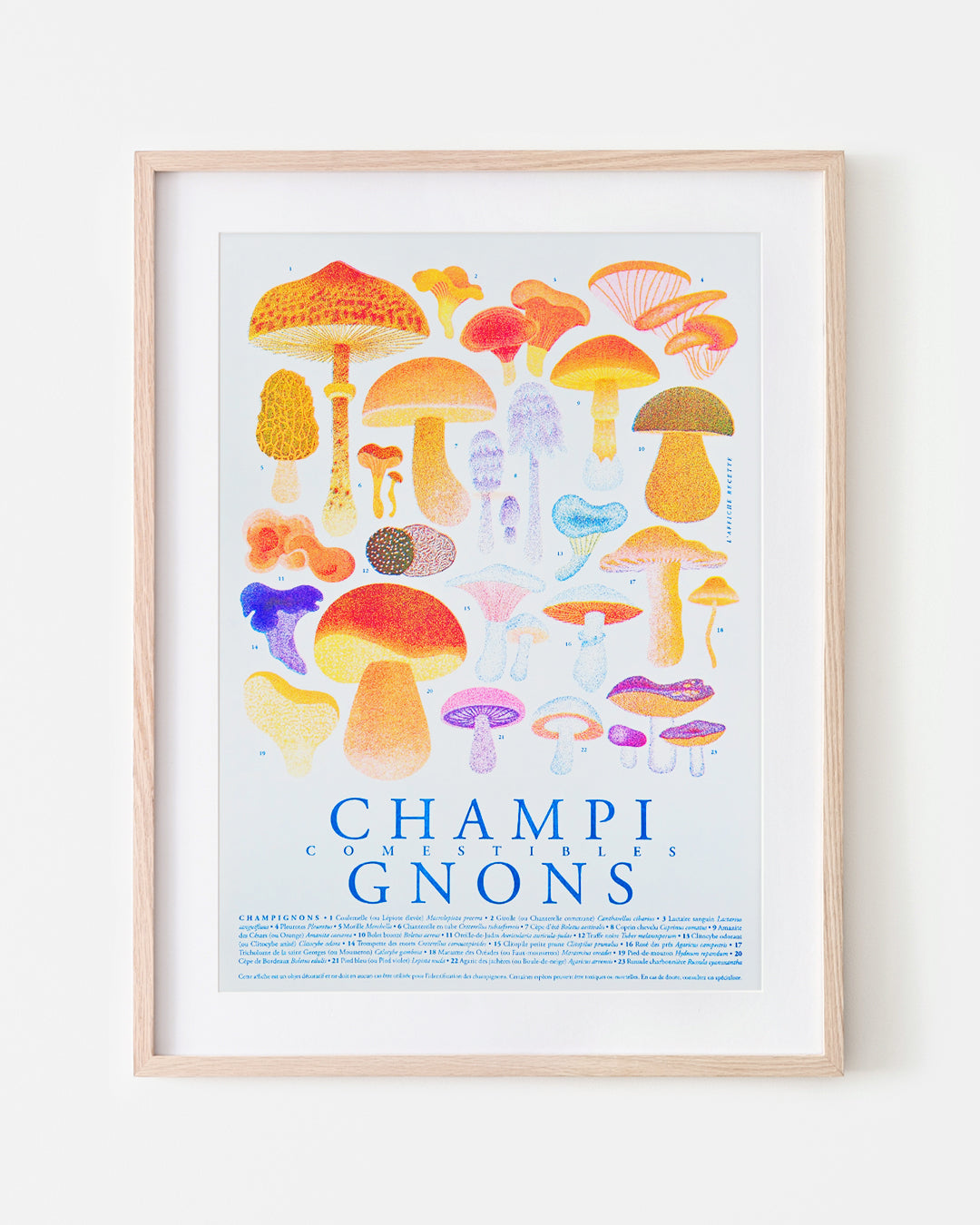 Champignons Comestibles