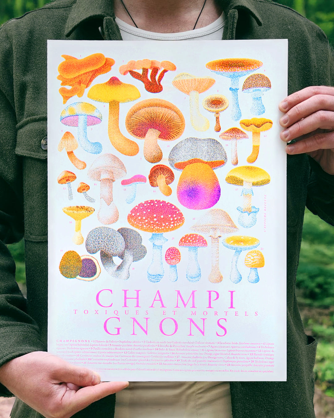 Champignons Toxiques et Mortels