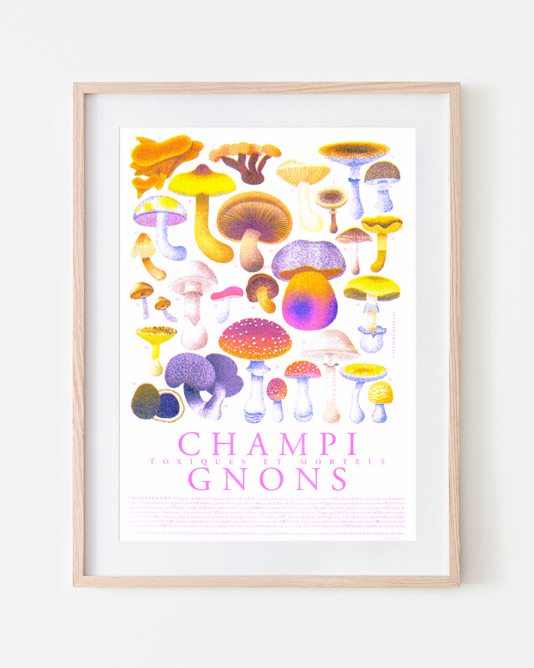 Champignons Toxiques et Mortels